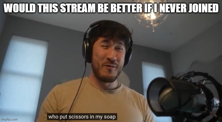 tell me the truth | WOULD THIS STREAM BE BETTER IF I NEVER JOINED | image tagged in who put scissors in my soap | made w/ Imgflip meme maker