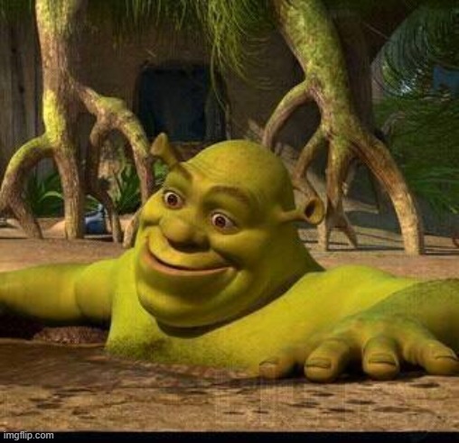 shreck | image tagged in shreck | made w/ Imgflip meme maker