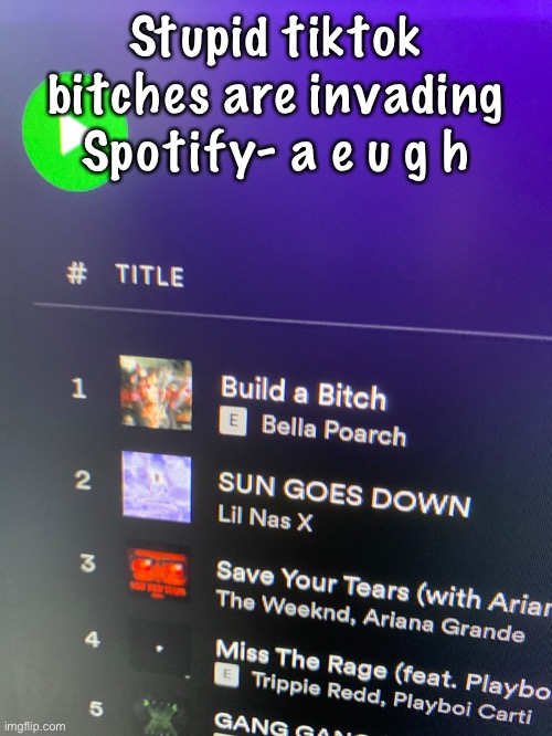 Stupid tiktok bitches are invading Spotify- a e u g h | made w/ Imgflip meme maker