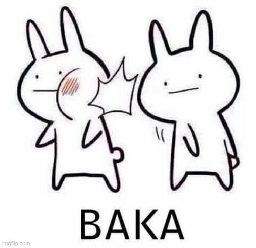 Baka | image tagged in baka | made w/ Imgflip meme maker