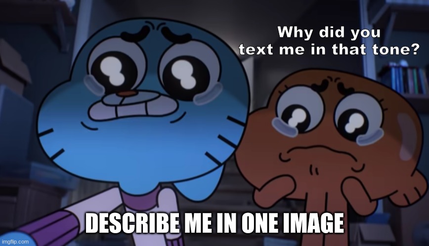 Why did you text me in that tone? | DESCRIBE ME IN ONE IMAGE | image tagged in why did you text me in that tone | made w/ Imgflip meme maker