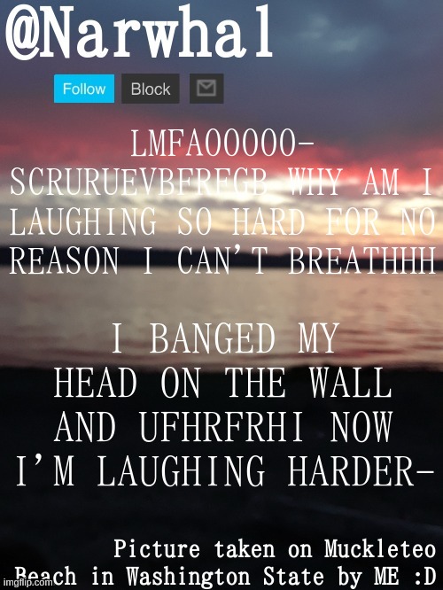 SHIT I JUST BONKED MYSELF AGAIN GRRF HHAHA- | LMFAOOOOO- SCRURUEVBFRFGB WHY AM I LAUGHING SO HARD FOR NO REASON I CAN'T BREATHHH; I BANGED MY HEAD ON THE WALL AND UFHRFRHI NOW I'M LAUGHING HARDER- | image tagged in narwhal annoucnement temp | made w/ Imgflip meme maker
