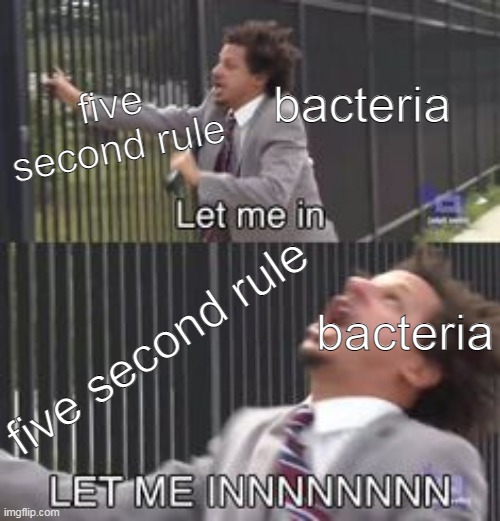 five second rule; bacteria; bacteria; five second rule | image tagged in memes | made w/ Imgflip meme maker