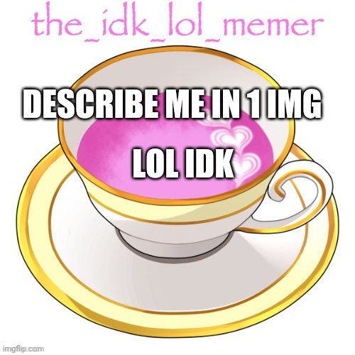 the_idk_lol_memer temp | DESCRIBE ME IN 1 IMG; LOL IDK | image tagged in the_idk_lol_memer temp | made w/ Imgflip meme maker