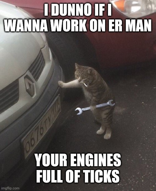 cat mechanic | I DUNNO IF I WANNA WORK ON ER MAN; YOUR ENGINES FULL OF TICKS | image tagged in cat mechanic | made w/ Imgflip meme maker