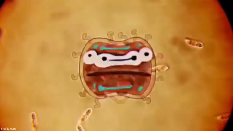 Bacteeeria. | made w/ Imgflip meme maker