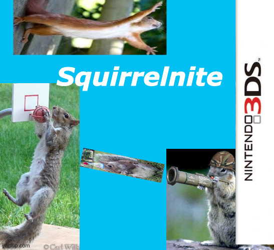Squirrenite | Squirrelnite | image tagged in squirrel | made w/ Imgflip meme maker