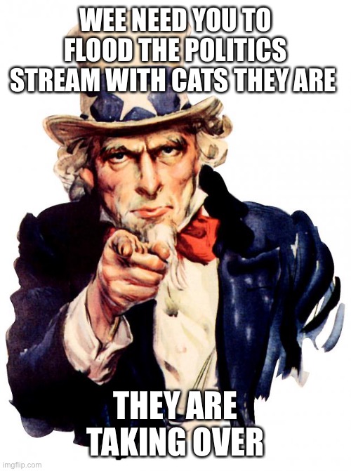 Uncle Sam Meme | WEE NEED YOU TO FLOOD THE POLITICS STREAM WITH CATS THEY ARE; THEY ARE TAKING OVER | image tagged in memes,uncle sam | made w/ Imgflip meme maker