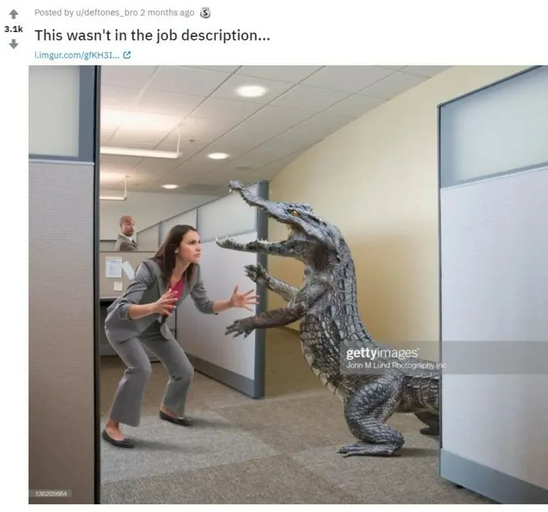 Woman office worker to wrestle alligator Blank Meme Template