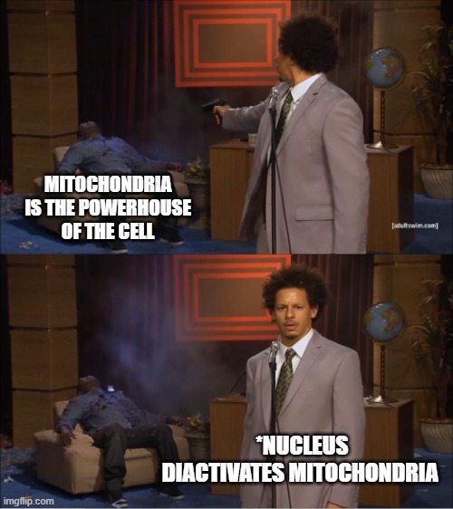 the entire cell died, it was pure kamikaze | MITOCHONDRIA IS THE POWERHOUSE OF THE CELL; *NUCLEUS DIACTIVATES MITOCHONDRIA | image tagged in memes,who killed hannibal | made w/ Imgflip meme maker