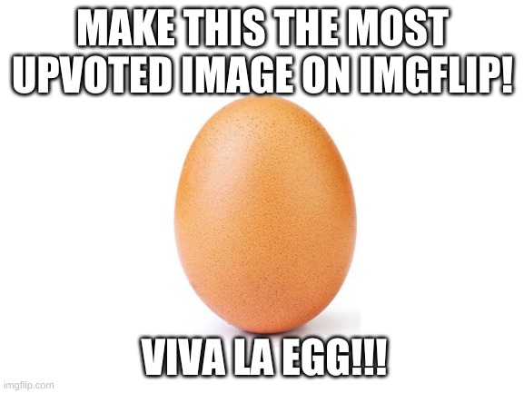 remember this egg? ITS BACK | MAKE THIS THE MOST UPVOTED IMAGE ON IMGFLIP! VIVA LA EGG!!! | image tagged in blank white template,world record,egg | made w/ Imgflip meme maker