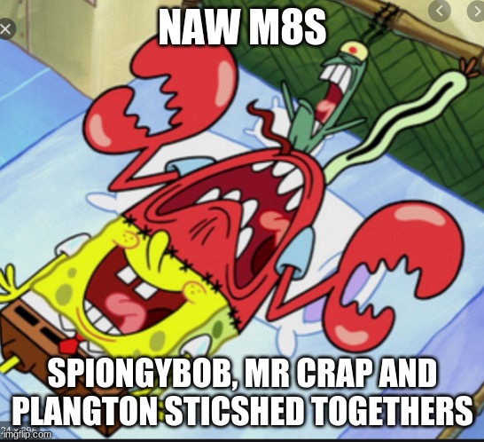 Spunch Bop 1 | NAW M8S; SPIONGYBOB, MR CRAP AND PLANGTON STICSHED TOGETHERS | image tagged in spunch bop 1 | made w/ Imgflip meme maker