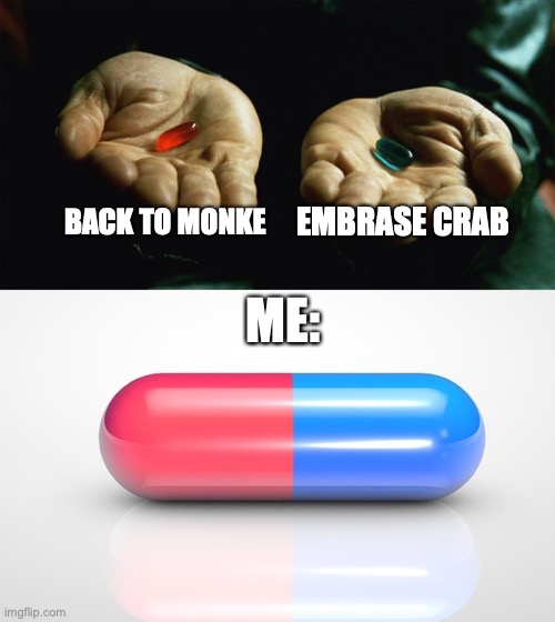 monke or crab | BACK TO MONKE; EMBRASE CRAB; ME: | image tagged in monke,crab,both | made w/ Imgflip meme maker