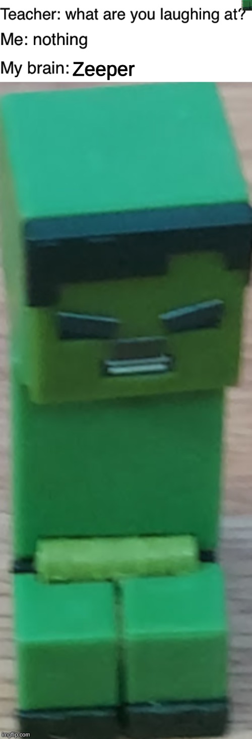 Minecraft? | Zeeper | image tagged in teacher what are you laughing at | made w/ Imgflip meme maker