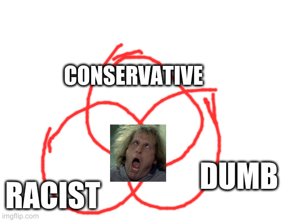 Blank White Template | DUMB RACIST CONSERVATIVE | image tagged in blank white template | made w/ Imgflip meme maker