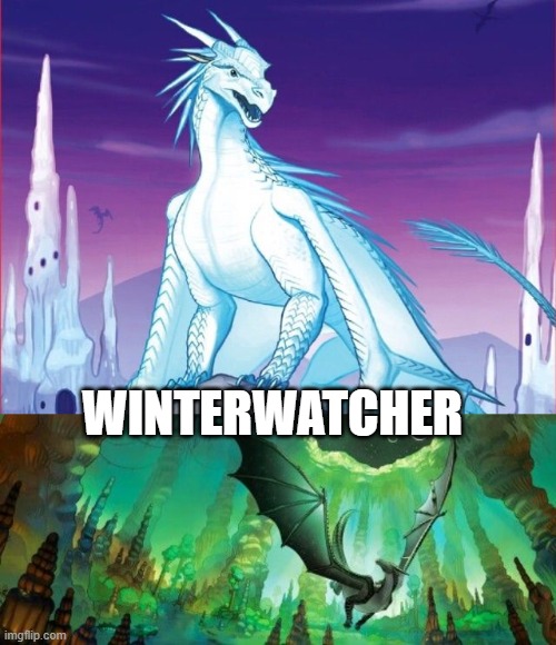 WINTERWATCHER | made w/ Imgflip meme maker