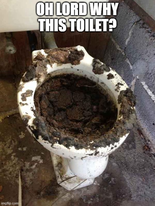 toilet | OH LORD WHY THIS TOILET? | image tagged in toilet | made w/ Imgflip meme maker
