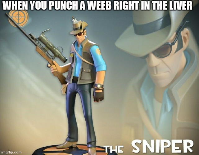 The Sniper | WHEN YOU PUNCH A WEEB RIGHT IN THE LIVER | image tagged in the sniper | made w/ Imgflip meme maker