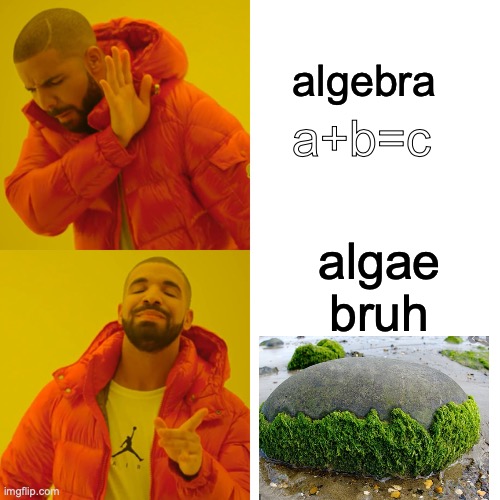 its algae bruh! | algebra; a+b=c; algae bruh | image tagged in memes,drake hotline bling | made w/ Imgflip meme maker