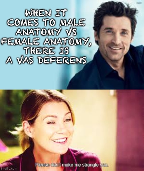 Eyeroll Grey’s Anatomy style | WHEN IT COMES TO MALE ANATOMY VS FEMALE ANATOMY, THERE IS A VAS DEFERENS | image tagged in patrick dempsey,please don't make me strangle you | made w/ Imgflip meme maker
