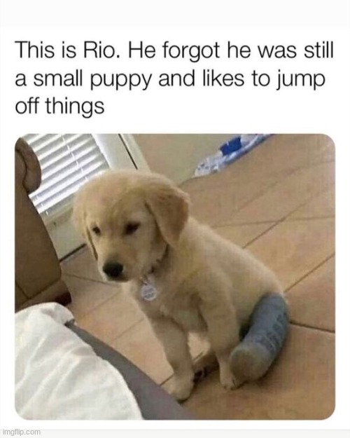 :c | made w/ Imgflip meme maker