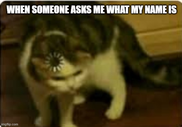 cant remberer | WHEN SOMEONE ASKS ME WHAT MY NAME IS | image tagged in buffering cat | made w/ Imgflip meme maker