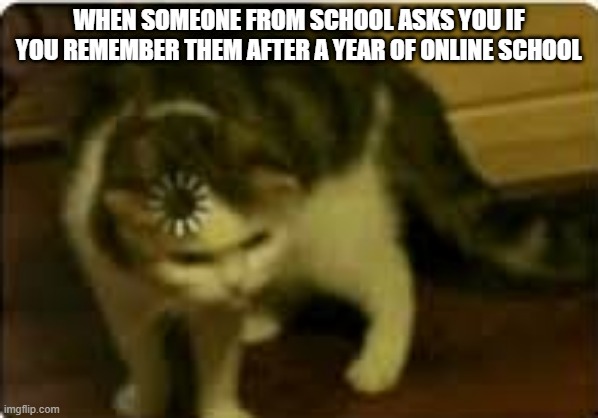 Buffering cat | WHEN SOMEONE FROM SCHOOL ASKS YOU IF YOU REMEMBER THEM AFTER A YEAR OF ONLINE SCHOOL | image tagged in buffering cat | made w/ Imgflip meme maker