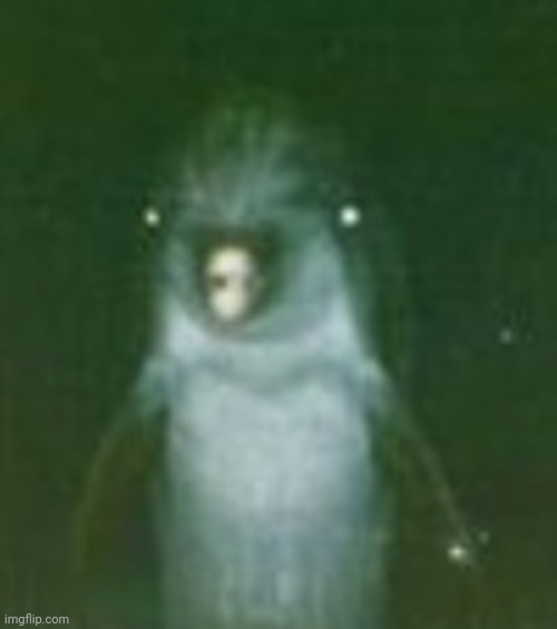 WHO WOULDN'T WANNA SEE THIS | image tagged in znsksbud | made w/ Imgflip meme maker