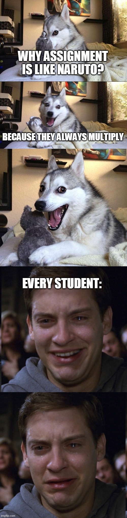 Why schools is like Sakura?...   Because they are both useless!!! | WHY ASSIGNMENT IS LIKE NARUTO? BECAUSE THEY ALWAYS MULTIPLY; EVERY STUDENT: | image tagged in memes,bad pun dog | made w/ Imgflip meme maker