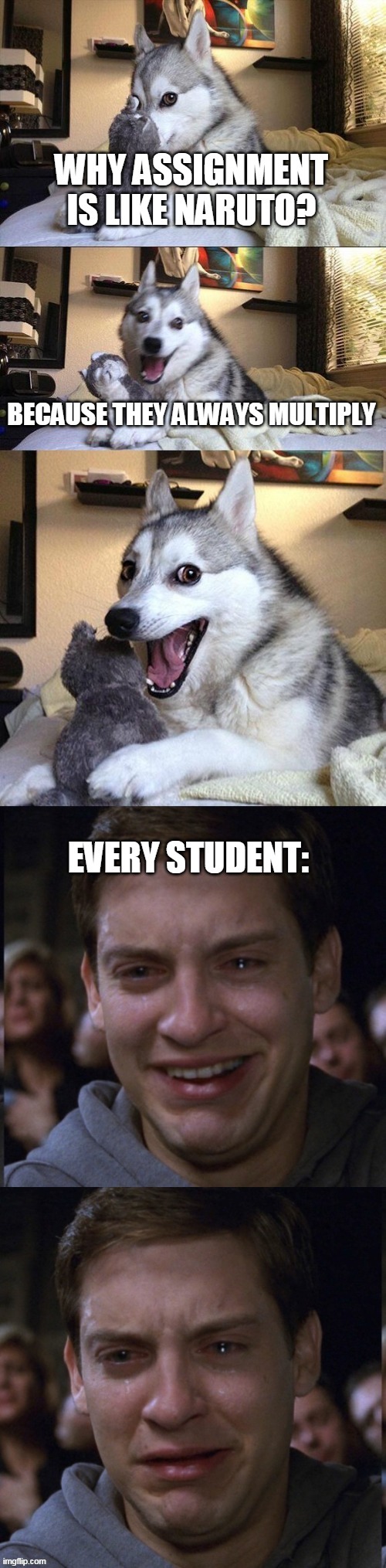 Why schools is like Sakura?... Because they are both useless!!! | image tagged in memes,meme,bad pun dog | made w/ Imgflip meme maker