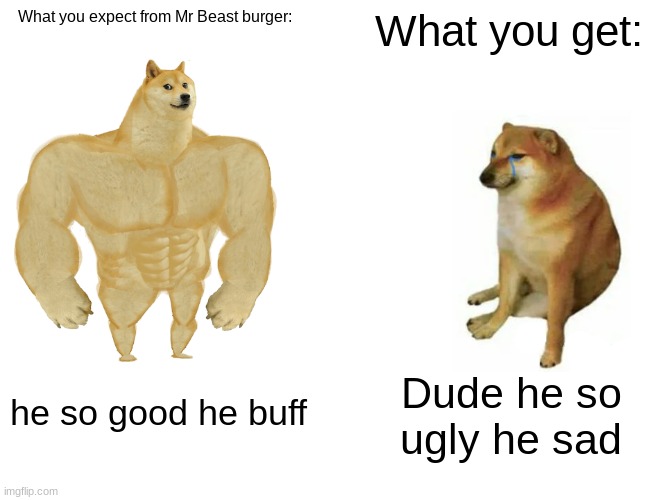 hehe | What you expect from Mr Beast burger:; What you get:; he so good he buff; Dude he so ugly he sad | image tagged in memes,buff doge vs cheems | made w/ Imgflip meme maker