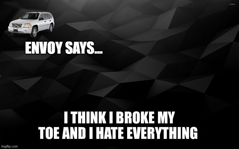 Envoy Says... | I THINK I BROKE MY TOE AND I HATE EVERYTHING | image tagged in envoy says | made w/ Imgflip meme maker