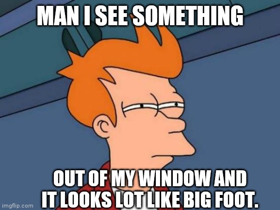 Futurama Fry Meme | MAN I SEE SOMETHING; OUT OF MY WINDOW AND IT LOOKS LOT LIKE BIG FOOT. | image tagged in memes,futurama fry | made w/ Imgflip meme maker