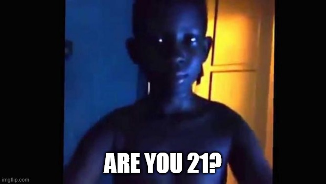 21 kid | ARE YOU 21? | image tagged in 21 kid | made w/ Imgflip meme maker