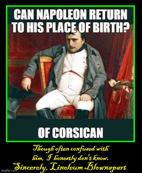 Napoleon Bonaparte Memes | Though often confused with him,  I  honestly don't know. Sincerely, Linoleum Blownapart | image tagged in vince vance,napoleon bonaparte,exiled,corsica,memes,historical meme | made w/ Imgflip meme maker