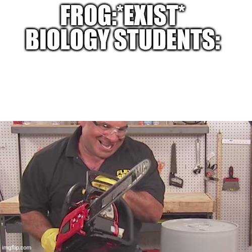 Oh oh soo you acctually reading the title? | FROG:*EXIST*; BIOLOGY STUDENTS: | image tagged in chainsaw,frog | made w/ Imgflip meme maker