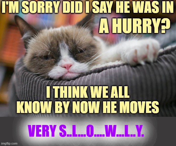 Thank You To Bluessol For The Inspiration... Grumpy Cat's Opinion Of Joe Biden | I'M SORRY DID I SAY HE WAS IN; A HURRY? I THINK WE ALL KNOW BY NOW HE MOVES; VERY S..L...O....W...L..Y. | image tagged in memes,politics,grumpy cat,joe biden,not,very fast | made w/ Imgflip meme maker