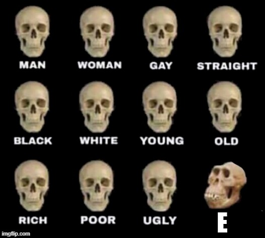 big E | E | image tagged in idiot skull | made w/ Imgflip meme maker