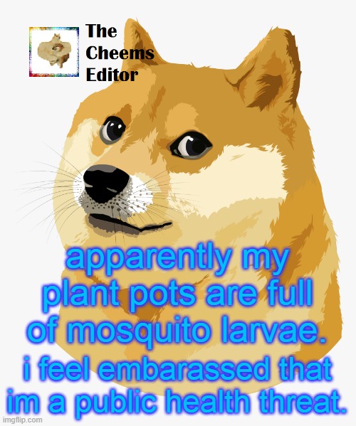 apparently my plant pots are full of mosquito larvae. i feel embarassed that im a public health threat. | image tagged in thecheemseditor announcement template | made w/ Imgflip meme maker