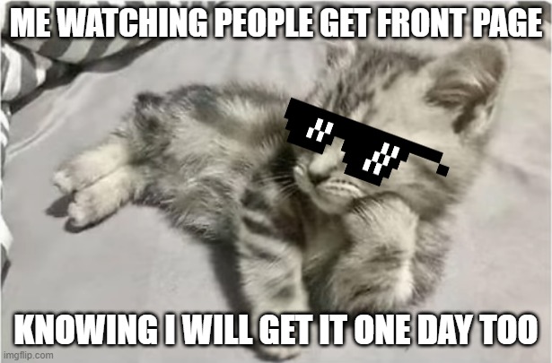 i believe ill get it one day lolol | ME WATCHING PEOPLE GET FRONT PAGE; KNOWING I WILL GET IT ONE DAY TOO | image tagged in cat,cats,funny cats | made w/ Imgflip meme maker