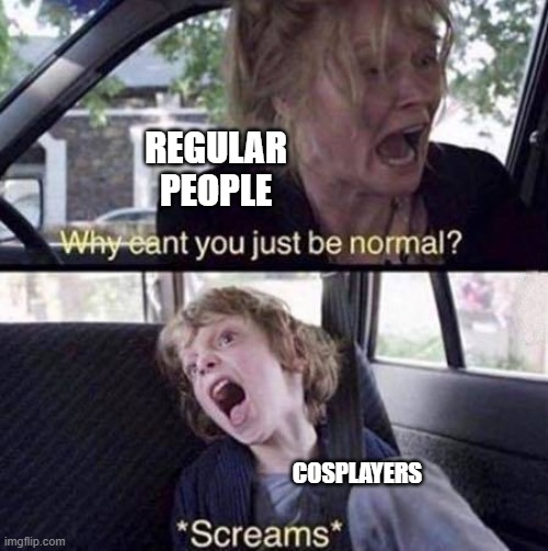 Cosplayers | REGULAR
PEOPLE; COSPLAYERS | image tagged in why can't you just be normal | made w/ Imgflip meme maker