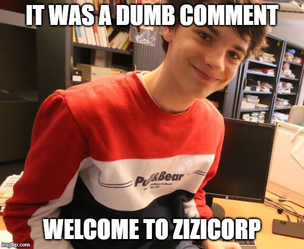Example of ZiziCorp use. | IT WAS A DUMB COMMENT; WELCOME TO ZIZICORP | image tagged in welcome to zizicorp | made w/ Imgflip meme maker