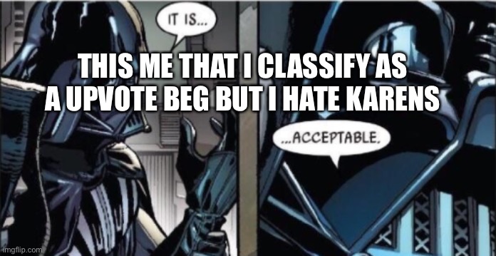 It Is Acceptable | THIS ME THAT I CLASSIFY AS A UPVOTE BEG BUT I HATE KARENS | image tagged in it is acceptable | made w/ Imgflip meme maker
