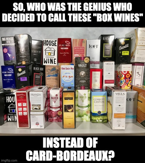 Wine | SO, WHO WAS THE GENIUS WHO DECIDED TO CALL THESE "BOX WINES"; INSTEAD OF CARD-BORDEAUX? | image tagged in box wine | made w/ Imgflip meme maker