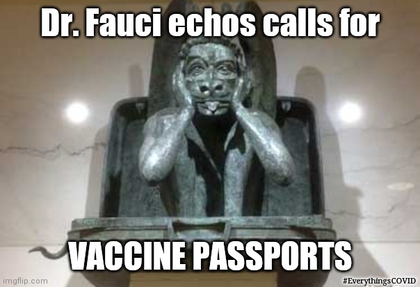 Flyers Take the Jab? Hidden in Plain Sight! DIA #FauciKnowsBest | Dr. Fauci echos calls for; VACCINE PASSPORTS; #EverythingsCOVID | image tagged in dr fauci,covid,vaccines,bill gates loves vaccines,nwo police state,the great awakening | made w/ Imgflip meme maker