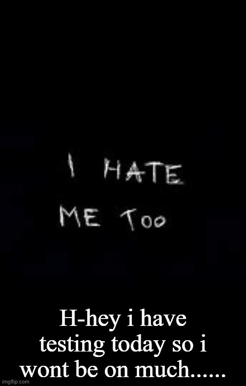 I hate me too | H-hey i have testing today so i wont be on much...... | image tagged in i hate me too | made w/ Imgflip meme maker