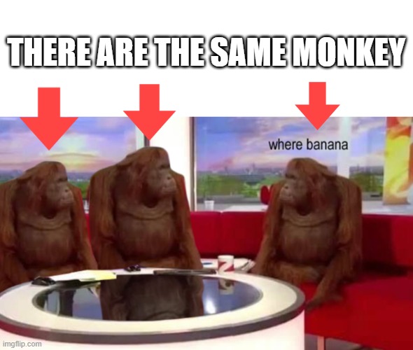 free epic water apples | THERE ARE THE SAME MONKEY | image tagged in where banana | made w/ Imgflip meme maker