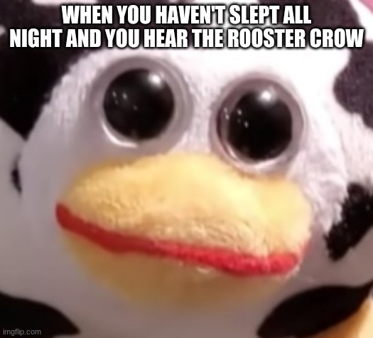 yeah i have a rooster so what big deal | WHEN YOU HAVEN'T SLEPT ALL NIGHT AND YOU HEAR THE ROOSTER CROW | made w/ Imgflip meme maker