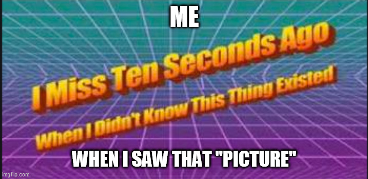 I miss ten seconds ago when I didn't know this thing existed. | ME WHEN I SAW THAT "PICTURE" | image tagged in i miss ten seconds ago when i didn't know this thing existed | made w/ Imgflip meme maker