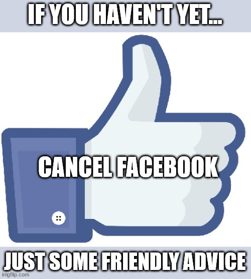 Facebook Like Button | IF YOU HAVEN'T YET... CANCEL FACEBOOK; JUST SOME FRIENDLY ADVICE | image tagged in facebook like button | made w/ Imgflip meme maker
